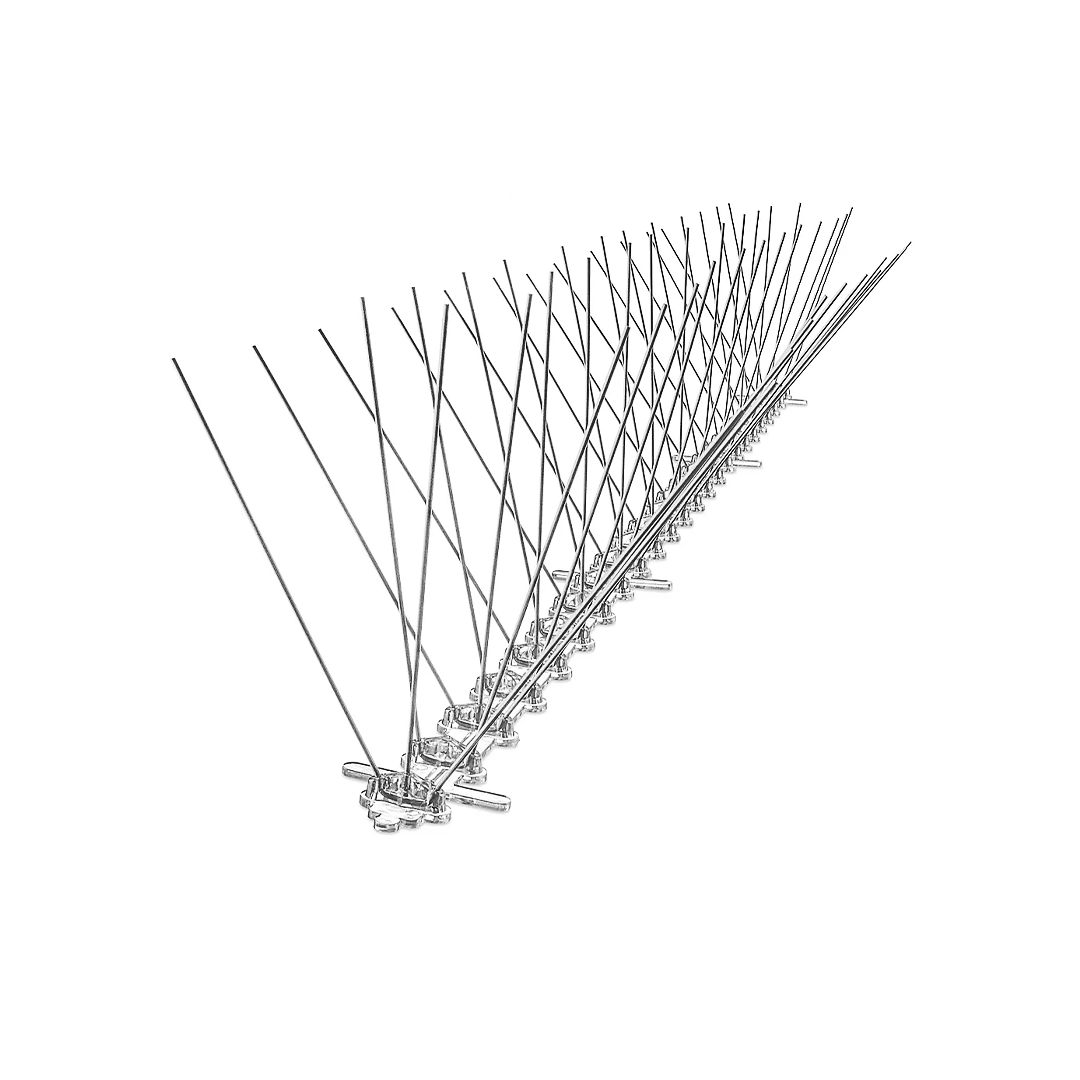 Bird Spike